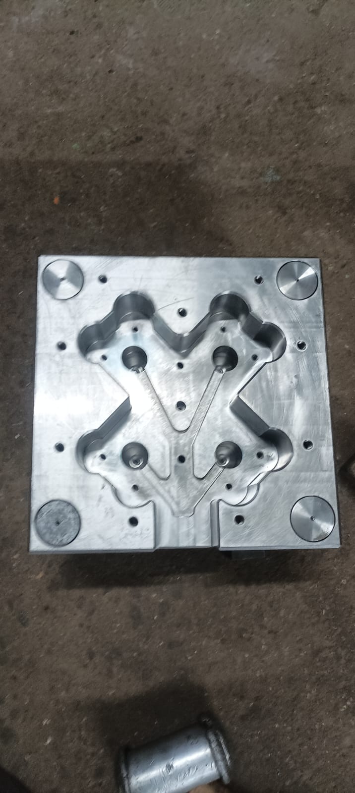 WhatsApp Image 2026-03-01 at 7.41.36 PM